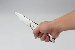 Ніж cкладний Ruike P128-SF, Сріблястий - мініатюра 4