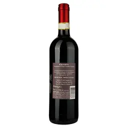 Вино Pasqua Chianti DOCG, червоне, сухе, 12%, 0,75 л - мініатюра 2
