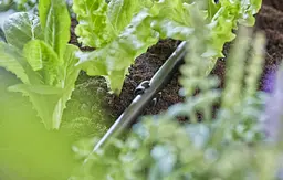 Кілочки Gardena Micro-Drip-System для шлангів 13 мм 1/2", 10 шт (13208-20) - мініатюра 3