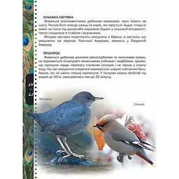 Енциклопедія для допитливих Талант Тварини - Жабська Т. С. (9786176950264) - мініатюра 6