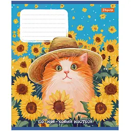 Набір зошитів 1 Вересня Sunny cat А5 18 аркушів у лінію 25 шт. (768772) - мініатюра 3