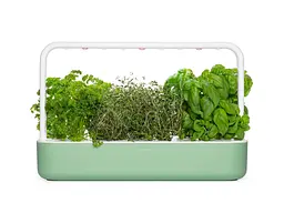 Стартовий набір Click & Grow Smart Garden 9 м'ятно-зелений (SG9S13UNI) - мініатюра 2
