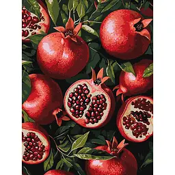 Картина за номерами "Гранат у розрізі" art_selena_ua Ideyka KHO5731, 30х40 см