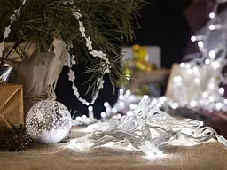 Електрогірлянда BPNY зовнішня біла 300 LED 30 м (102992) - мініатюра 11
