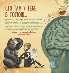 Як працює людський мозок - мініатюра 2