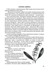 На Великдень сонце грає - мініатюра 5