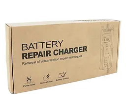 Зарядное устройство для аккумулятора Voltronic R12 6V/12V (4,5-100Ah) (MF,WET,AGM,GEL)