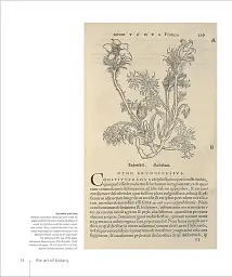 Botany for the Artist - Сара Сімблет - мініатюра 2