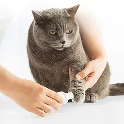 Тример (гриндер) для пазурів Xiaomi Pawbby Electric Pet Nail Grinder (MG-NG001A) - мініатюра 4