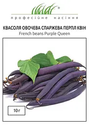 Насіння квасолі спаржевої Перпл Квін 10 г (Професійне насіння)