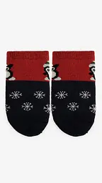 Шкарпетки теплі для хлопчика Very Socks H-BEBE-01/1 0-1 рік Різнокольоровий (2000999371813) - мініатюра 2
