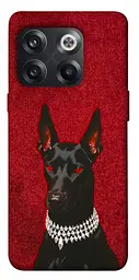 TPU чехол Demsky Premium doberman для OnePlus 10T