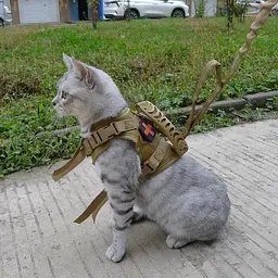 Шлейка для котів Harness, тактичний жилет з ручкою (35-48 см), Коричневий - мініатюра 4