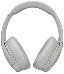 Навушники бездротові Panasonic RB-M600BE-C (7168942) - мініатюра 2