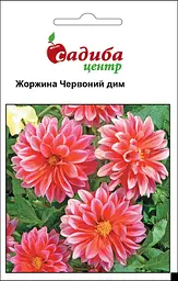 Жоржина Червоний Дим, 0,1 г, Садиба Центр