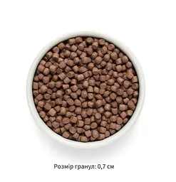 Сухий беззерновий корм для дорослих собак малих порід Grandorf Fresh Lamb & Sweet Potato Adult Dog Mini з ягням та бататом 3 кг - мініатюра 3
