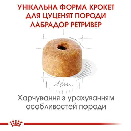 Сухий корм для цуценят породи Лабрадор Ретрівер Royal Canin Labrador Retriever Puppy, 12 кг (24911201) - мініатюра 3