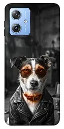 TPU чохол Demsky Jack rassel для Motorola Moto G84