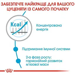 Сухий корм для цуценят гігантських порід від 8 до 24 місяців з підвищеною активністю Royal Canin Giant Junior Active, 15 кг (3042150) - мініатюра 5