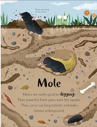 The Bedtime Book of Animals - мініатюра 5
