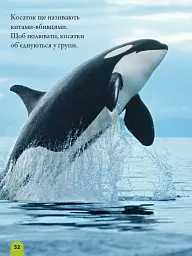 National Geographic. Моя перша енциклопедія. Океани - Кетрін Д. Г'юз - мініатюра 3