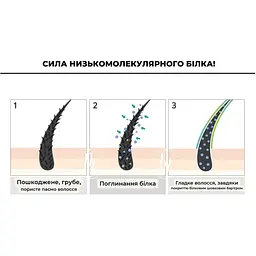 Шампунь для волосся Esthetic House Протеїновий CP-1 BC Intense Nourishing Shampoo Version 2.0 500 мл - мініатюра 2