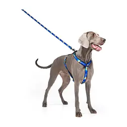 Шлея для собак WAUDOG Nylon з QR паспортом анатомічна H-подібна "Прапор" L (5160-0229) - мініатюра 4
