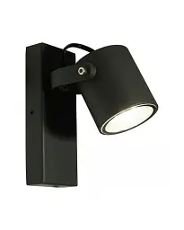 Вуличний світильник Goldlux 311573 Pino GU10 1x10W IP44