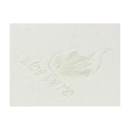 Наматрацник Руно Водонепроникний на гумці Aloe Vera 160х200 см (827Aloe Vera) - мініатюра 4