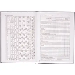 Щоденник шкільний ZiBi Kids Line Panda В5 48 аркушів (ZB.13810) - мініатюра 9