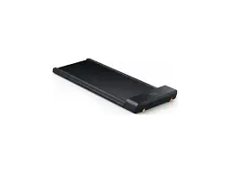 Бігова доріжка Kingsmith WalkingPad A1Pro/A1Plus (WPA1FPro)