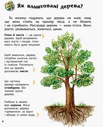 Енциклопедія дошкільника (нова) Видавництво Ранок Ліс - мініатюра 4