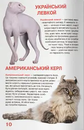Велика книжка. Кішки - Олег Зав'язкин - мініатюра 4