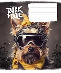 Зошит загальний Школярик Star Rock star у клітинку 24 аркушів 25 шт. (024-3277K) - мініатюра 3