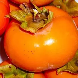 Саджанець Agro-Market Хурма помаранчева Солодкість (Sweetness) (преміальний супер соковитий сорт) (44809) 1 шт. в упаковці - мініатюра 5