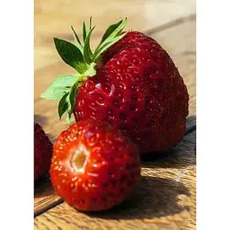 Саджанець Agro-Market Полуниця темно-вишнева Комета (Comet) 5 шт (преміальний високоврожайний сорт) (25704) - мініатюра 3