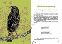 Вусохвості й лапокрилі. Читанка про тварин - Володимир Верховень - мініатюра 7