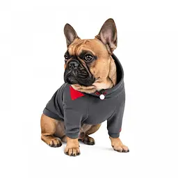 Худі Pet Fashion Snoodie для собак, розмір M2, сірий - мініатюра 4