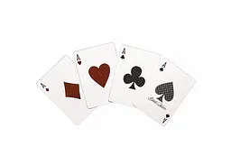 Карти гральні United States Playing Card Company Black Flower by Jack Nobile (PC_BFJN) - мініатюра 3