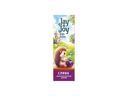 Пастила JAY&JOY 32г Цукерки фруктові сливова
