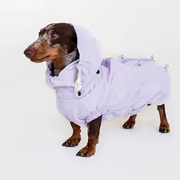 Вітровка для такс Hat-Dog лілова (XL-Long/Дівчинка) - мініатюра 2