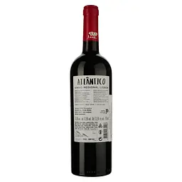 Вино Atlantico Lisboa Tinto червоне сухе 0.75 л - мініатюра 2