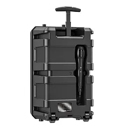 Портативна акустика Borofone BP9 Bluetooth караоке з мікрофоном та пультом 10 W - мініатюра 3