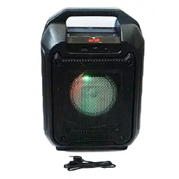 Портативна Bluetooth колонка RIAS B31 валіза з караоке Black (4_00164) - мініатюра 5