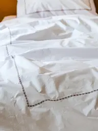 Комплект постільної білизни Ecotton Євро з вишивкою та кантом український хрестик Cappuccino із перкалю в чохлі (25138) - мініатюра 8