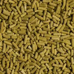 Сухий корм для сухопутних черепах Tropical в паличках Biorept L 100 мл - мініатюра 2