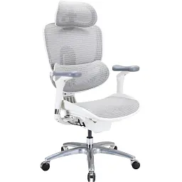 Офисное кресло Sihoo C300 LITE V2, White (C300-LITE-V2-B102)