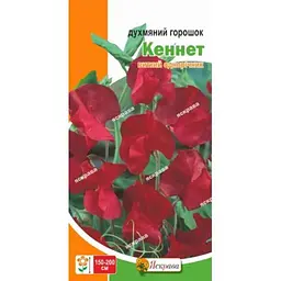 Горошок духмяний ЯСКРАВА Кеннет червоний (20 пачок) 1г