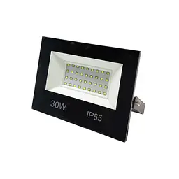 Прожектор LED Violux RAY 30W SMD 6000K 2700lm IP65 ( 420162 )