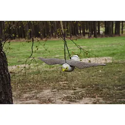Відлякувач птахів Bradas Сокіл у польоті 54 х 35 х 8 см CTRL-BR104 - мініатюра 3